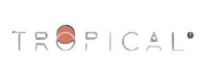 Ícono
