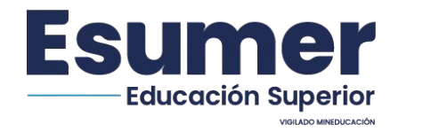 Ícono
