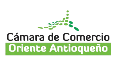 Ícono